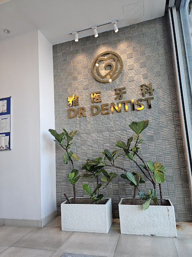 DR DENTIST DENTAL SURGERY